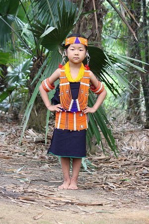 Naga Traditional dress. Four main mekhelas/wrappers of the Zeme naga||  shalu vlogs || - YouTube